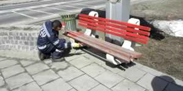 Voluntarii au vopsit băncile 
