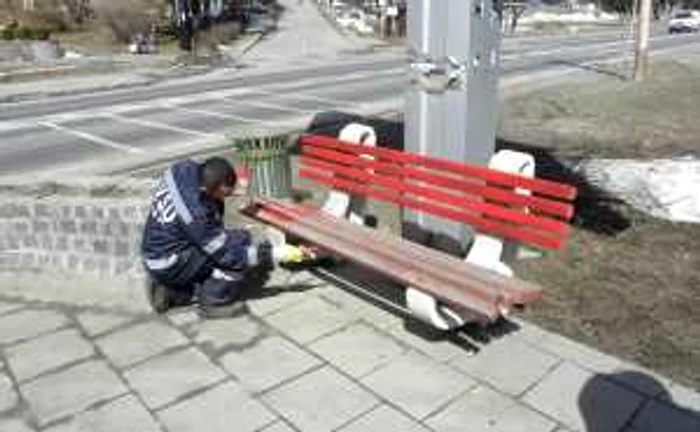 Voluntarii au vopsit băncile