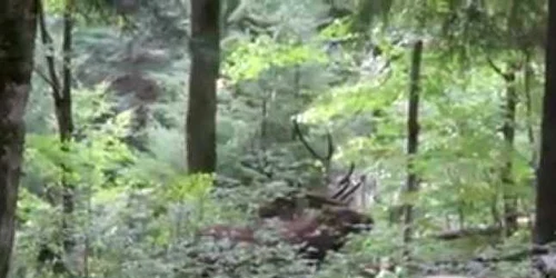 59e638815ab6550cb837b5d3 jpg