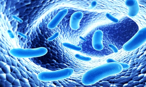 1 75539 original jpg jpeg