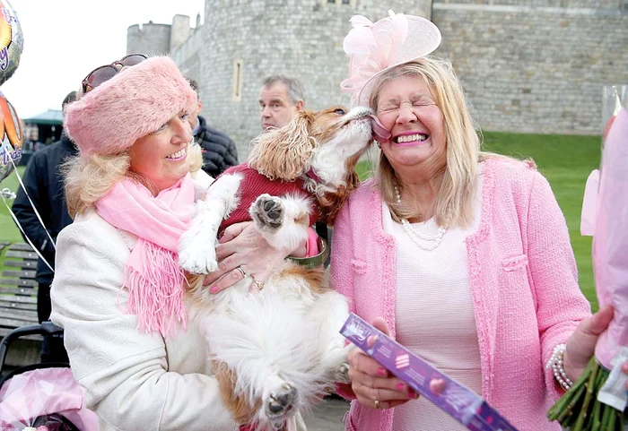 Mii de oameni s-au costumat viu colorat pentru a serba evenimentul