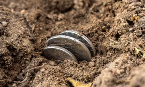 tezaur, foto shutterstock jpg