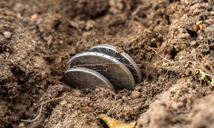 Monede / Foto: Shutterstock