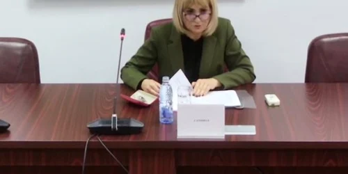 Ana  Hermina Iancu foto portal csm jpg