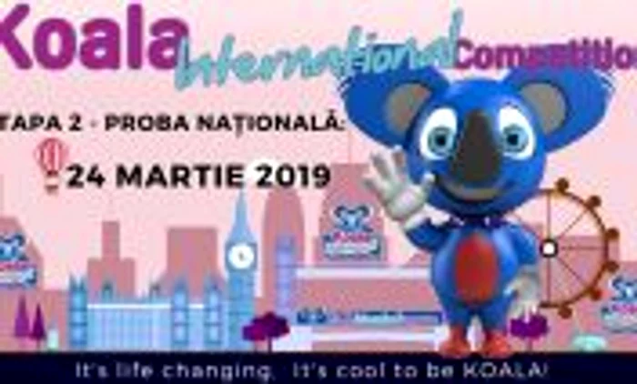 Koala International Competition