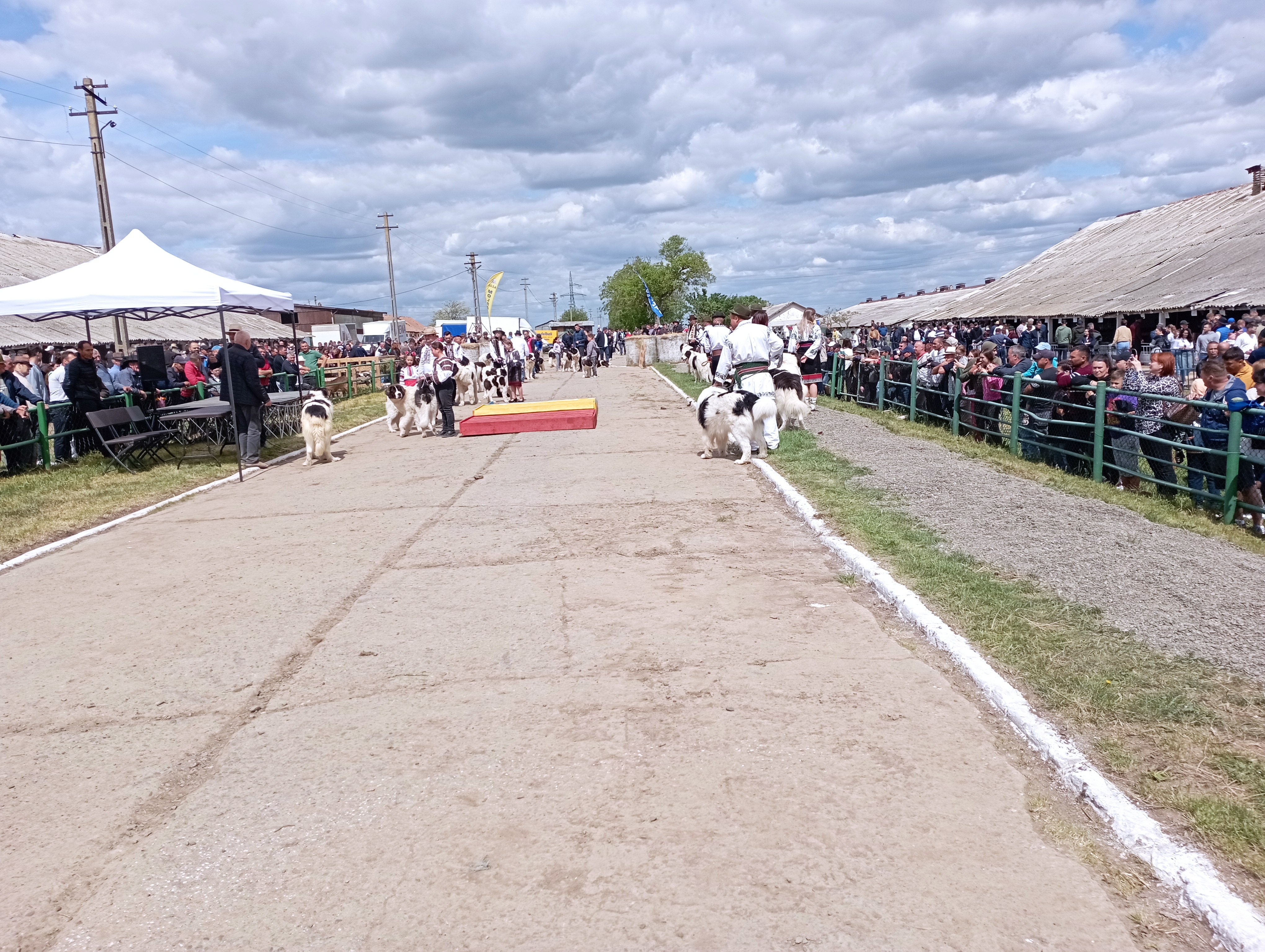 Sute de producători și fermieri, la un celebru târg din Moldova. „Îți crește inima ca un cozonac când vezi roadele muncii”