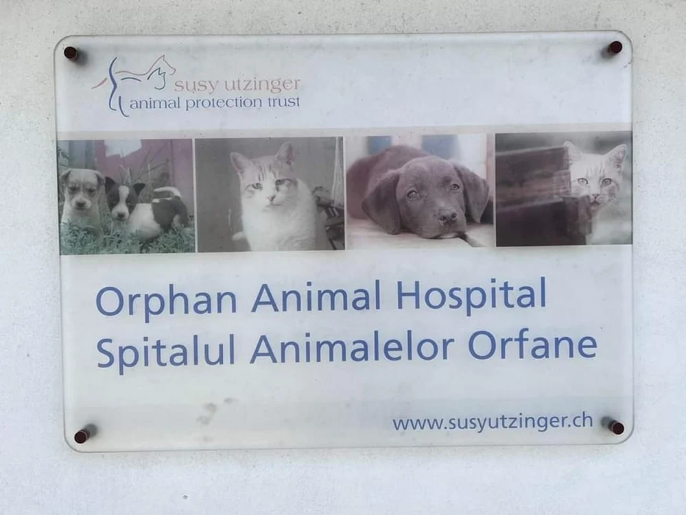 spital