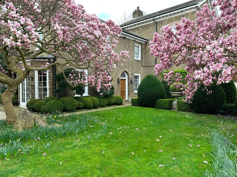 Casa lui Freddie Mercury și grădina prilă cu magnolii, din Londra