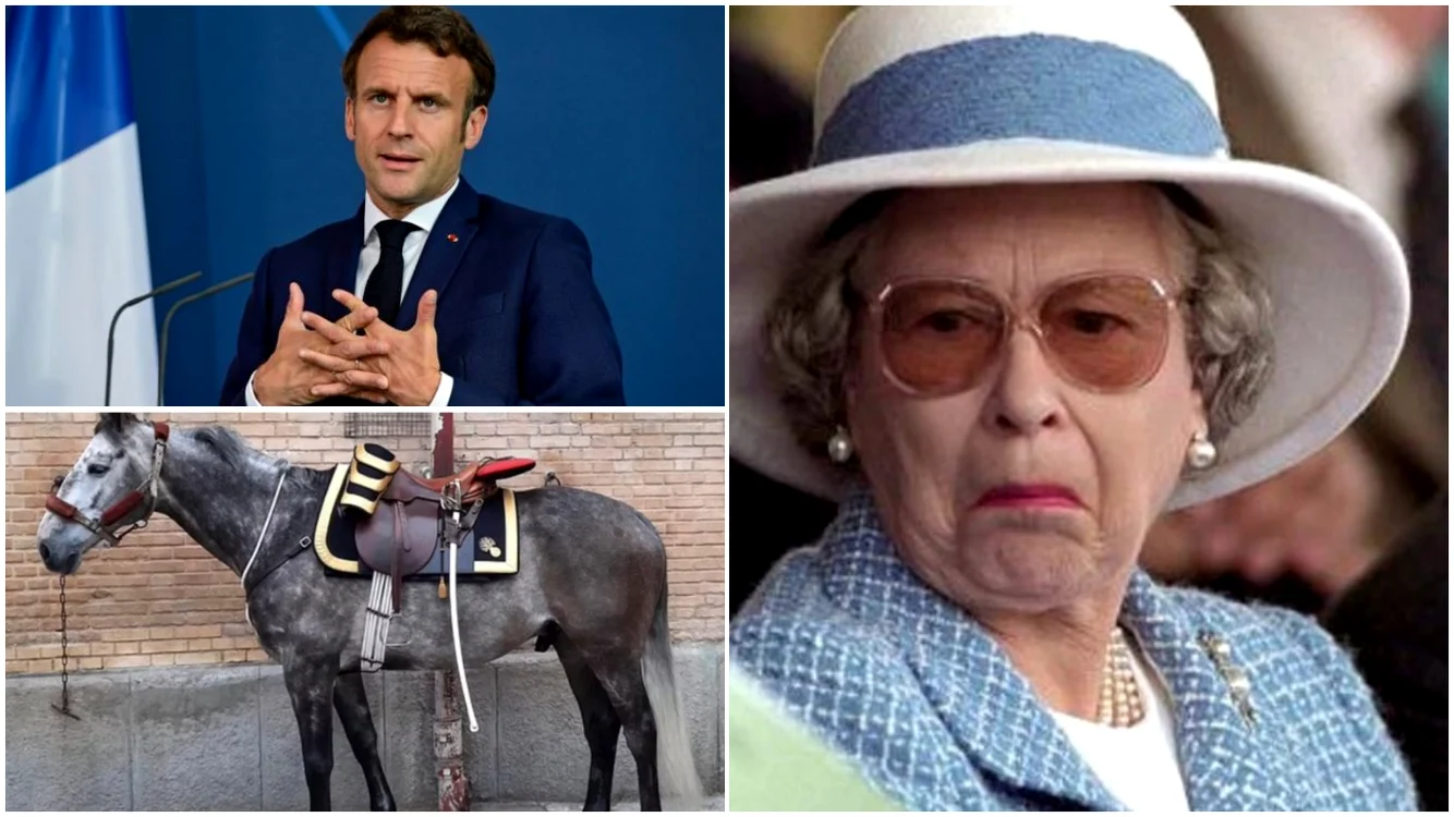 Regina Elisabeta a primit un cal de la Macron