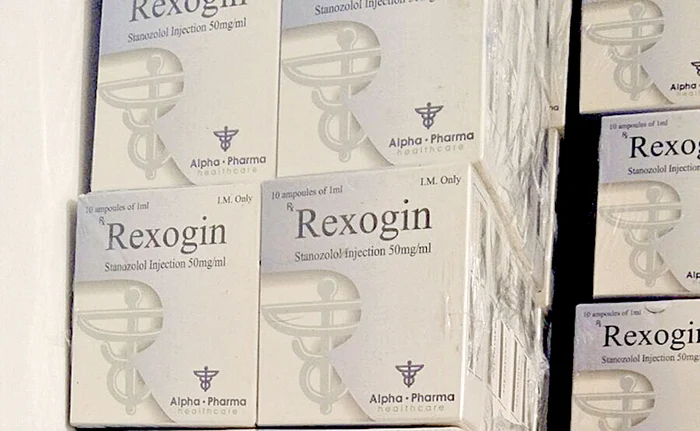 Cutii întregi de medicamente contrafăcute au fost găsite de poliţişti la percheziţii