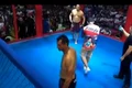 mma brazilia primar png