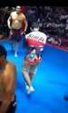 mma brazilia primar png