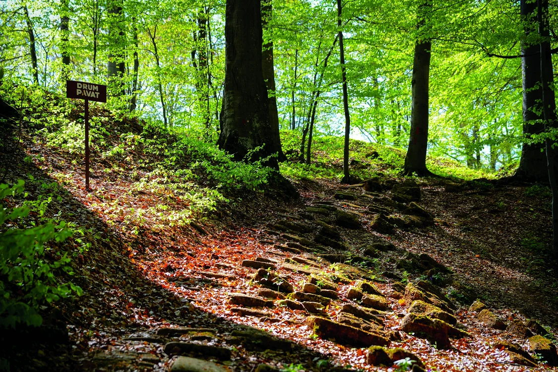 Cetatea dacică Piatra Roșie. Foto: Discover Hunedoara. 