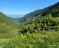 Transfăgărășan Foto Daniel Guță ADEVĂRUL (32) jpg