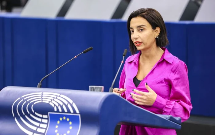 evin incir parlamentul european JPG