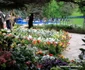 Mănăstirea Prislop locul de veci al lui Arsenie Boca Foto Daniel Guță ADEVĂRUL (4) JPG