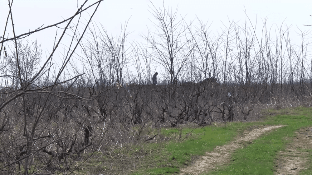 Detalii șocante date de fiica bătrânului omorât de copii: „Legat la mâini și picioare, târât, umilit, batjocorit” VIDEO