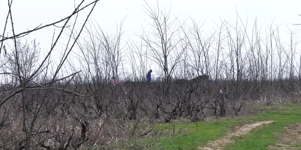 buzau crima batran 1 mp4 thumbnail png