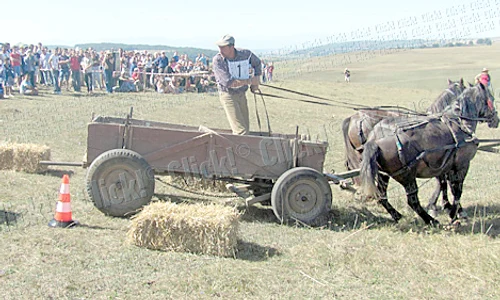 Parcarea cu spatele, cea mai  dificilă probă, a scos din  luptă mulţi concurenţi jpeg
