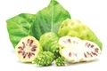 12 13 shutterstock 1167945508 jpeg