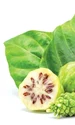 12 13 shutterstock 1167945508 jpeg
