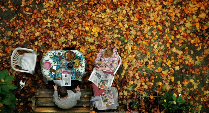 Vă dorim o toamnă culturală. FOTO: Unsplash