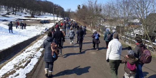 cluj hoia baciu. foto foaia transilvana