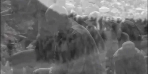 5e4404b25163ec427106c60d jpg