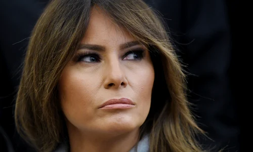 melania trump avion png
