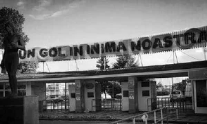 mesaj fani dinamo ekeng jpeg