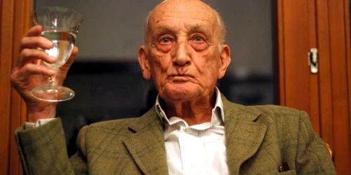 neagu djuvara