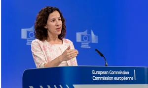 roxana minzatu foto facebook png