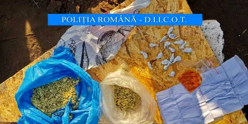 droguri canabis Galati