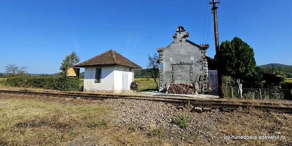 Tebea 2023 Foto Daniel Guță ADEVĂRUL (2) jpg