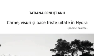 „Carne, visuri și oase triste uitate în Hydra”, la Editura Eikon jpeg