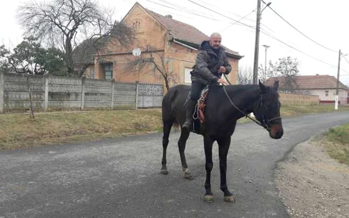 Adrian Bumbar şi calul Brenda au plecat de la Timişoara la Alba Iulia