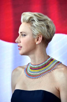 Exclusif No Web No Blog Le prince Albert II de Monaco et la princesse Charlene lors de la présentation des athlètes monégasques des Jeux Olympiques de Rio de Janeiro au Yacht Club de Monaco jpeg