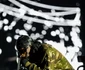 Playboi Carti/FOTO: Beach, Please! Festival