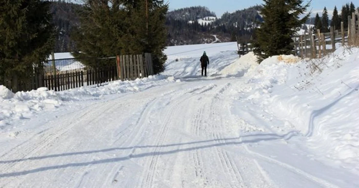 schior bistrita  3