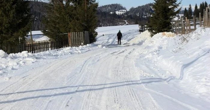 schior bistrita 3