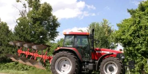 Reşiţa: Doi bărbaţi au fost prinşi la furat