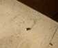 Hotelul era unul de cinci stele