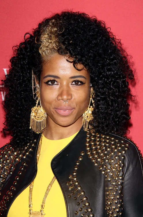 Mary J Blige at The Belvedere Red Pre Grammy's Party in Hollywood jpeg