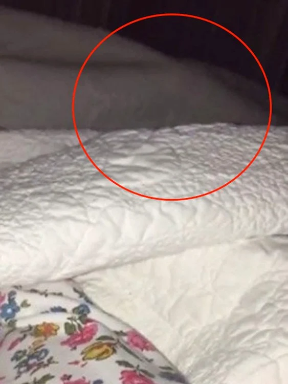 
    Imaginile care l-au îngrozit pe un tată din Canadafoto: mirror.co.uk  