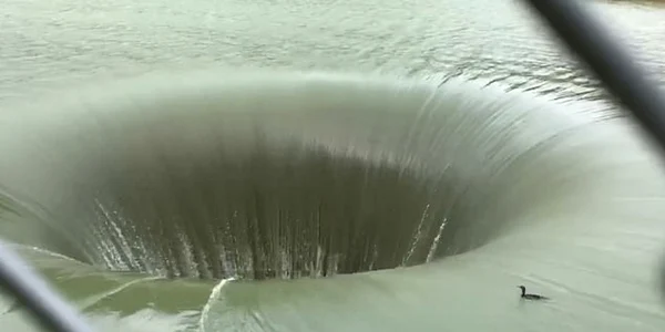 rata glory hole foto captura video 