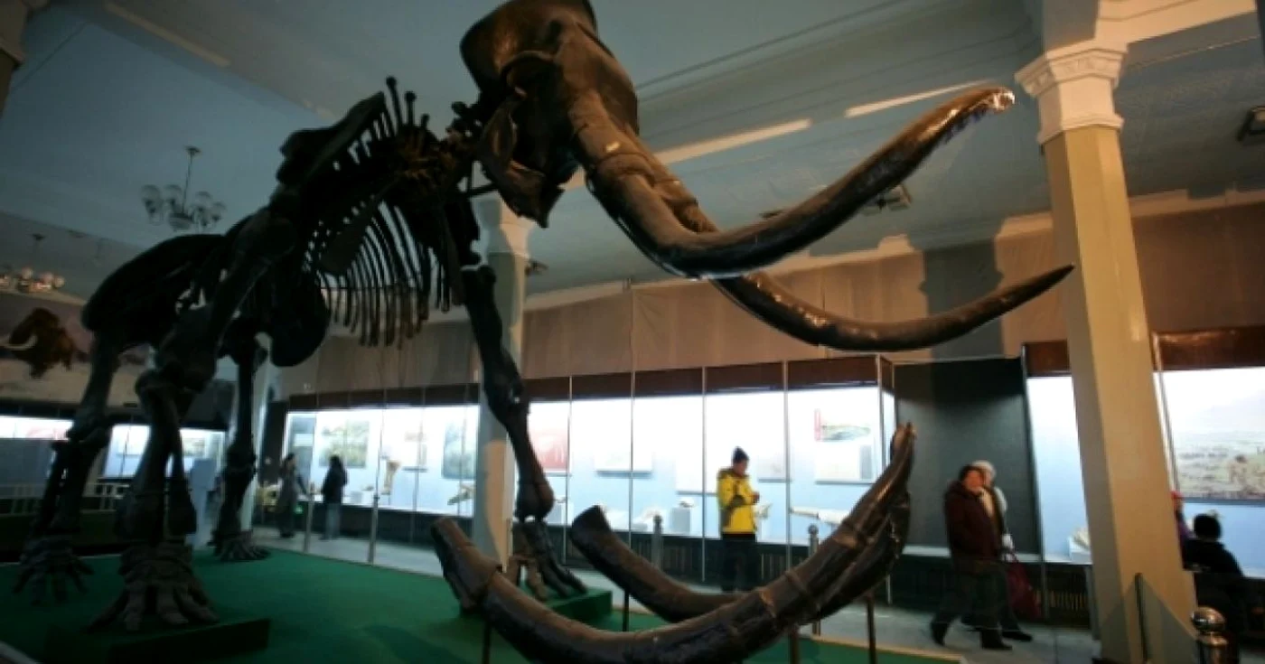 Schelet de mamut