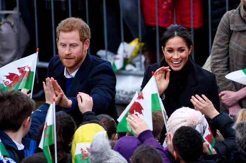 harry meghan multime