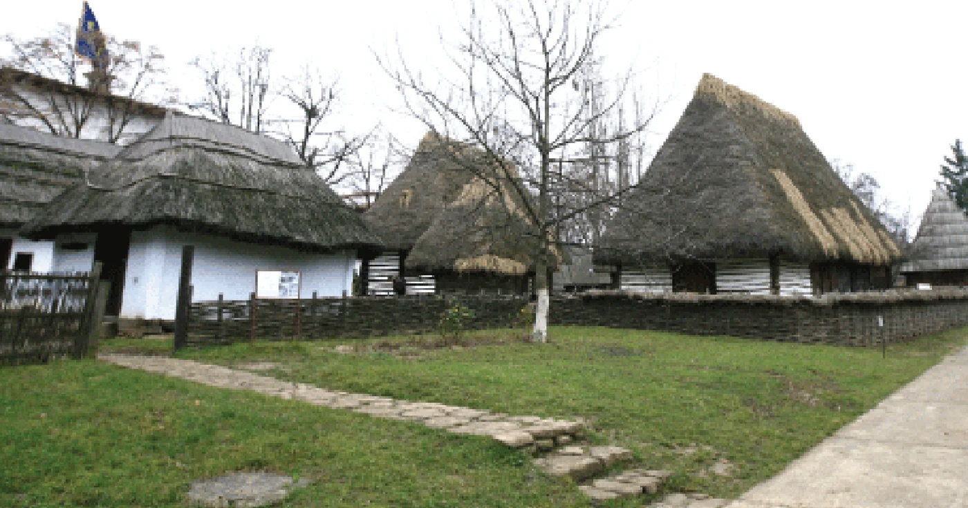 Cele 16 muzee în aer liber din ţară caută proprietăţi tradiţionale pentru expoziţii 