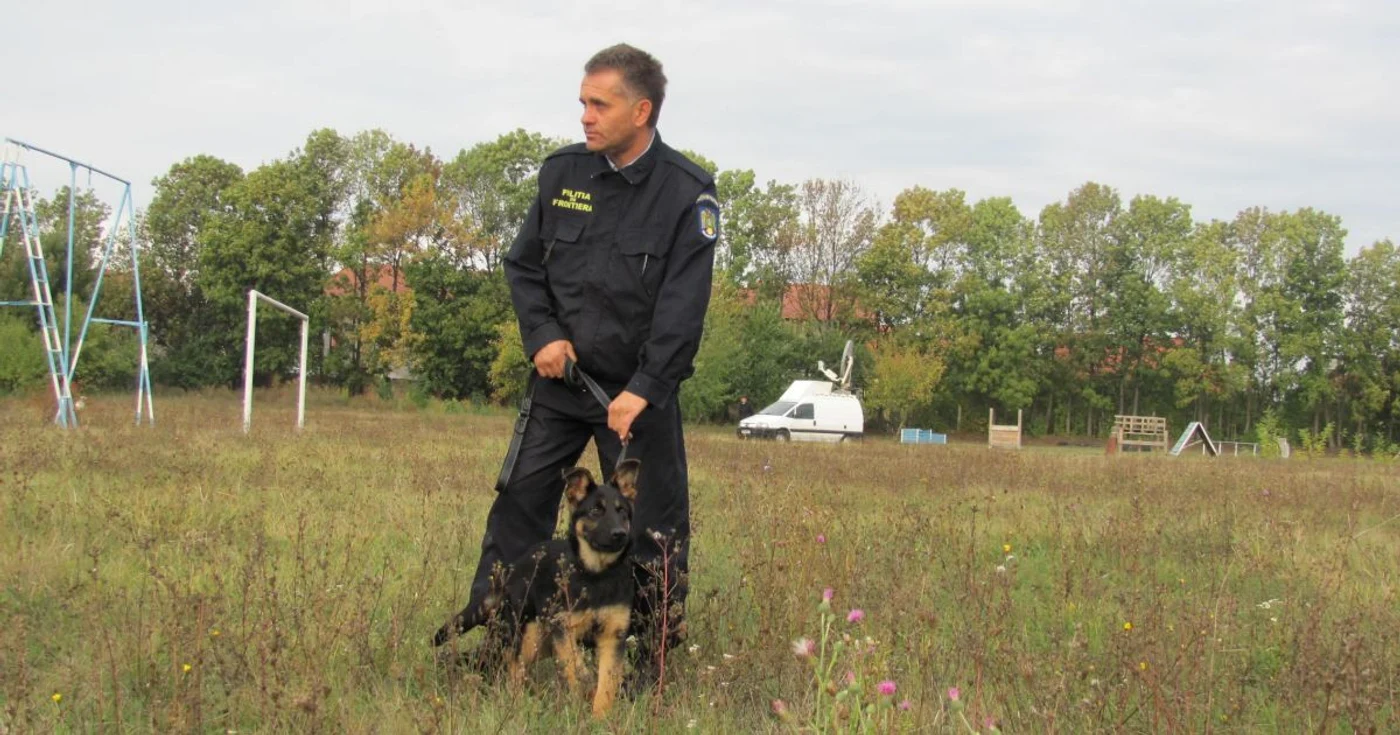 Câinii poliţiei de frontieră sunt foarte utili în misiunile de căutare a ţigărilor de contrabandă