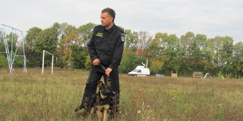 Câinii de la Poliţia de Frontieră 